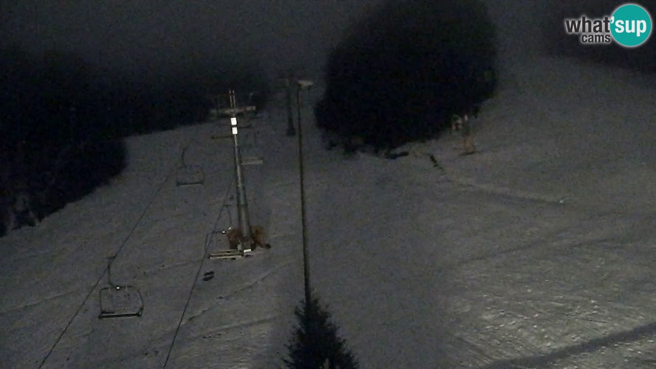 Web Camera Pohorje Trikotna Jasa | Poštela