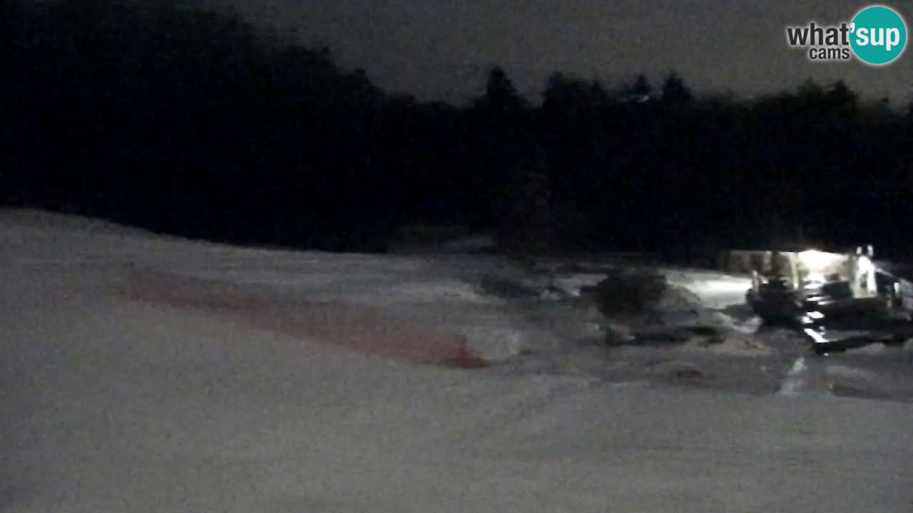 Webcam Pohorje Trikotna Jasa | Poštela