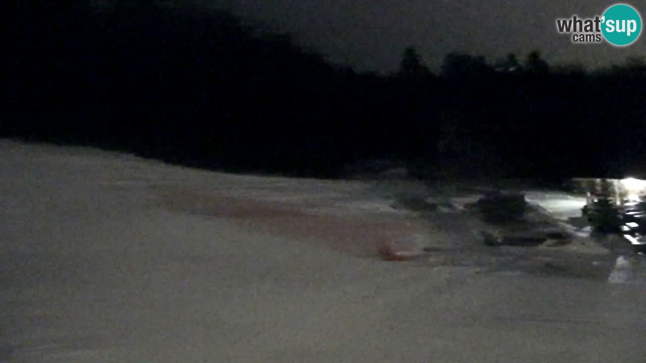 Web Camera Pohorje Trikotna Jasa | Poštela