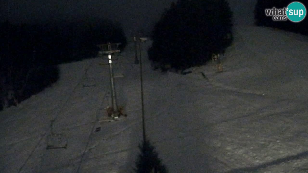 Web Camera Pohorje Trikotna Jasa | Poštela