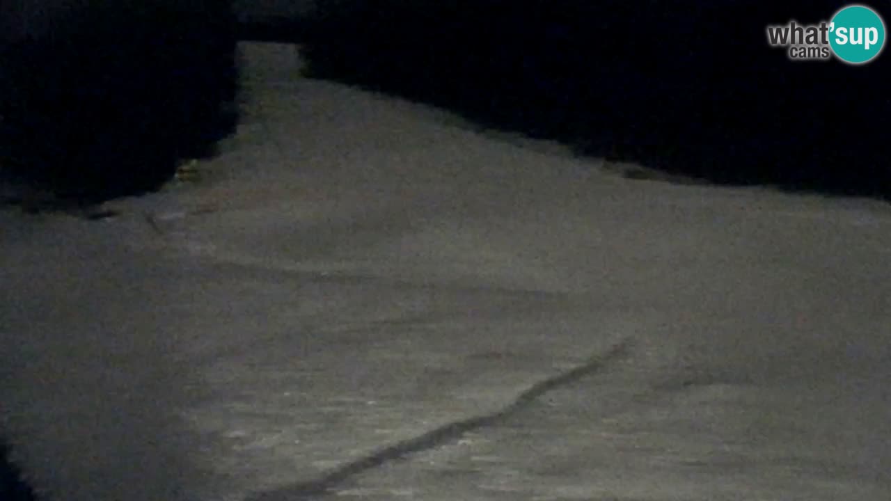 Webcam Pohorje Trikotna Jasa | Poštela