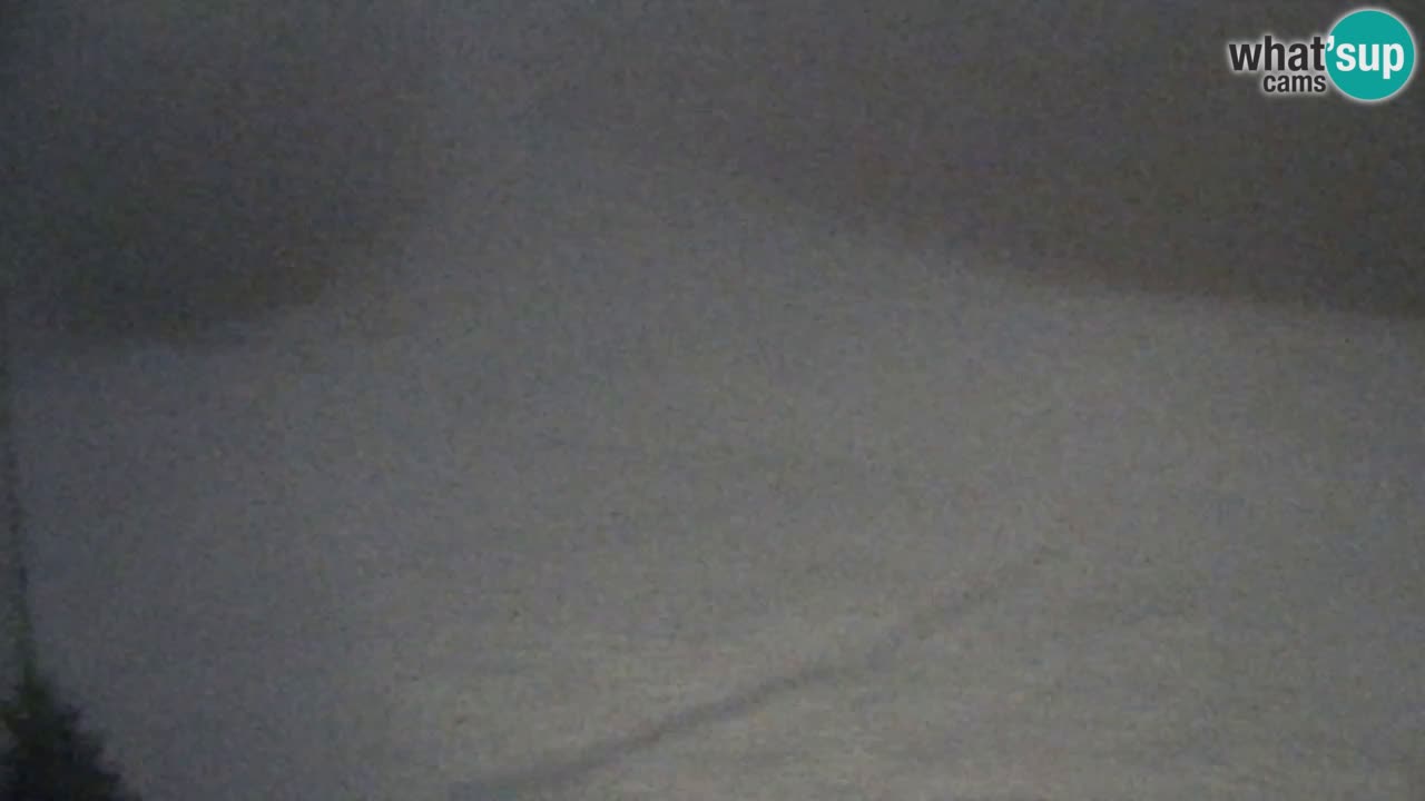 Webcam Pohorje Trikotna Jasa | Poštela