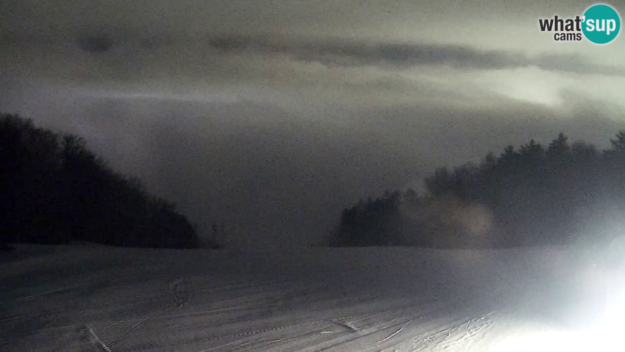 Webcam Pohorje Trikotna Jasa | Poštela