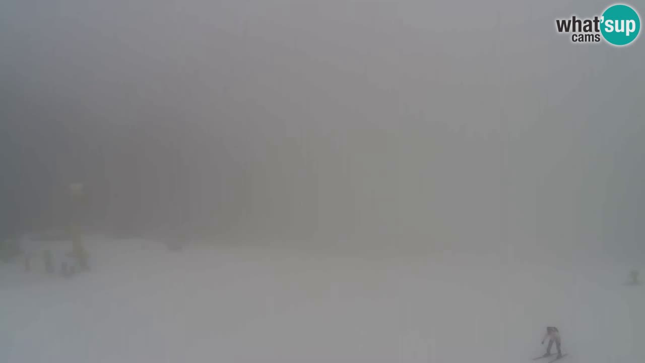 Webcam Pohorje Trikotna Jasa | Poštela