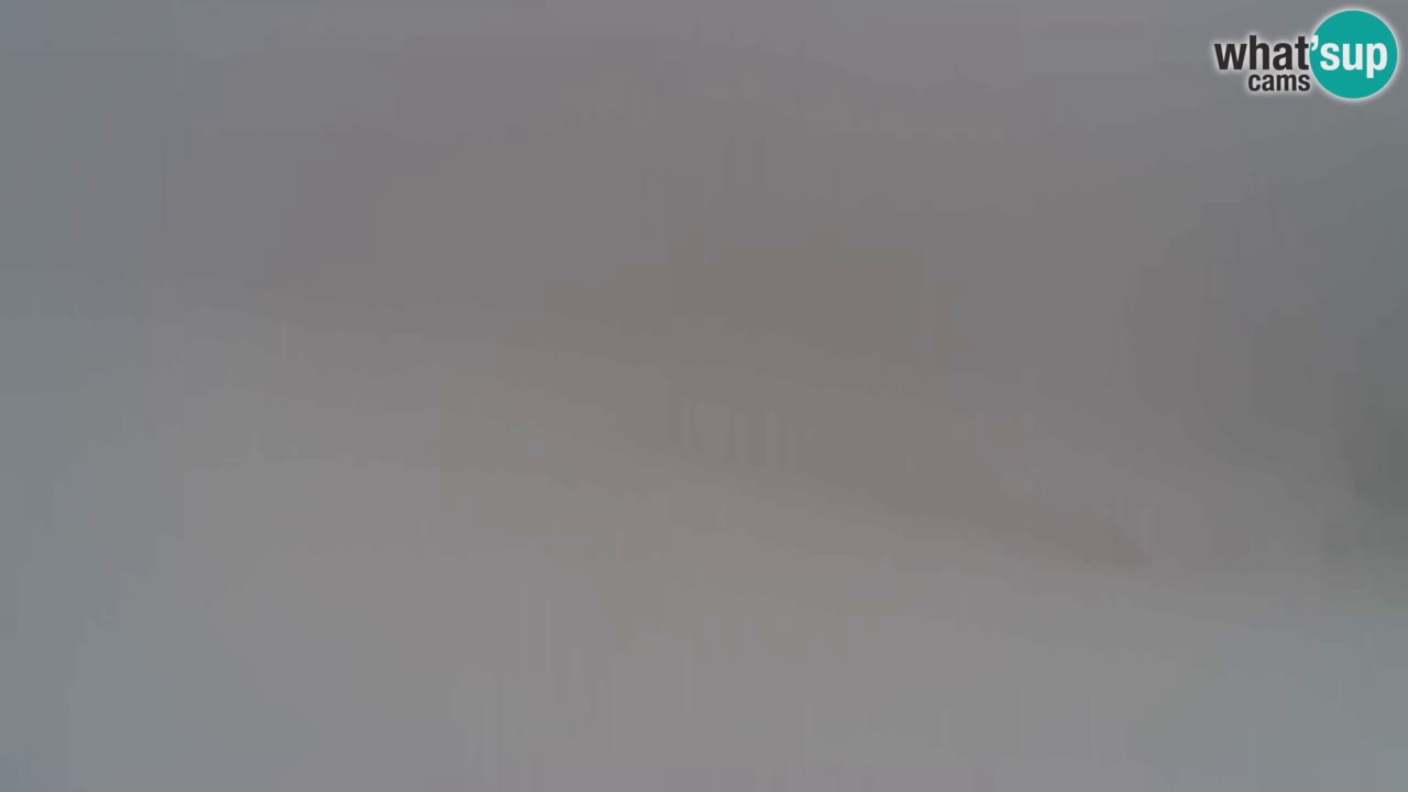 Webcam Pohorje Trikotna Jasa | Poštela