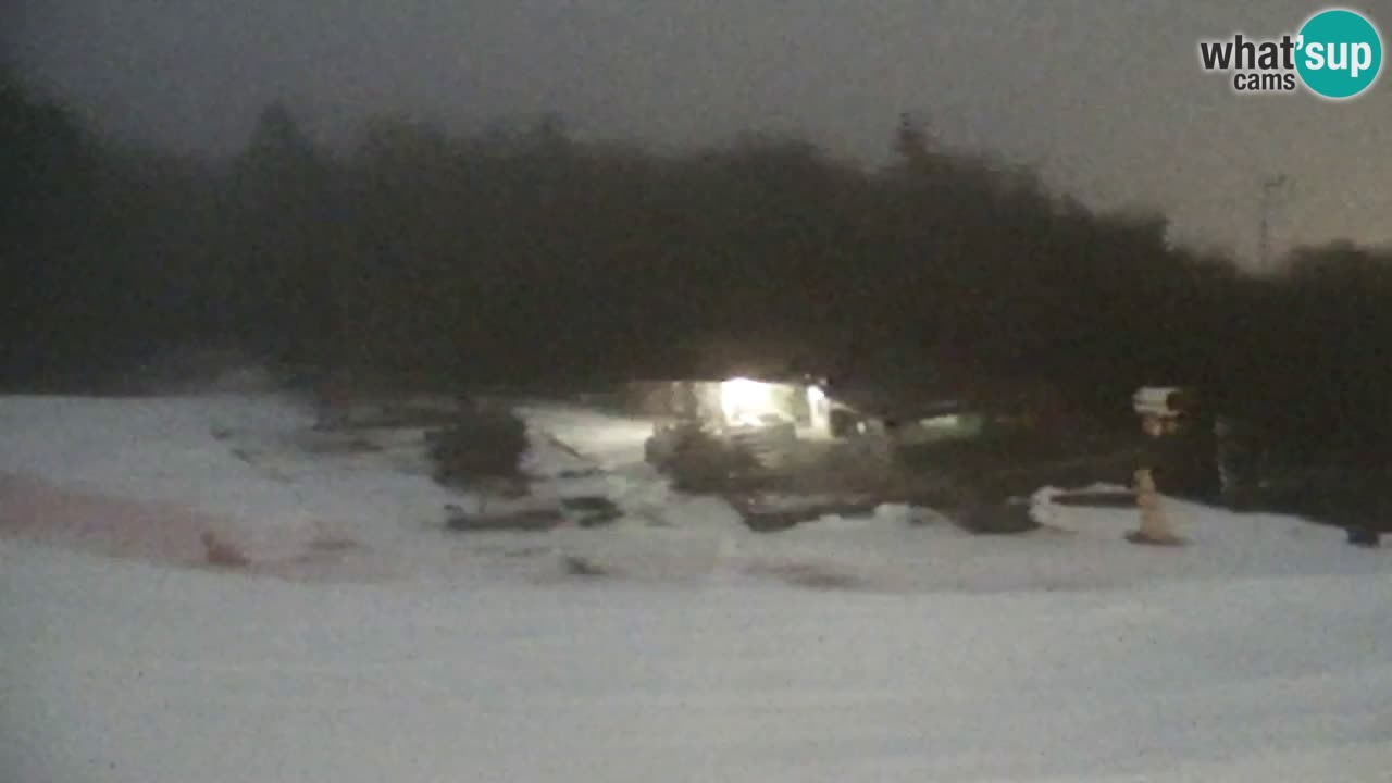 Web Camera Pohorje Trikotna Jasa | Poštela