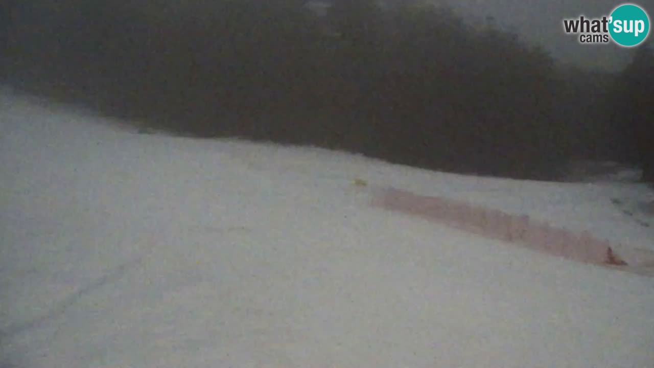 Webcam Pohorje Trikotna Jasa | Poštela