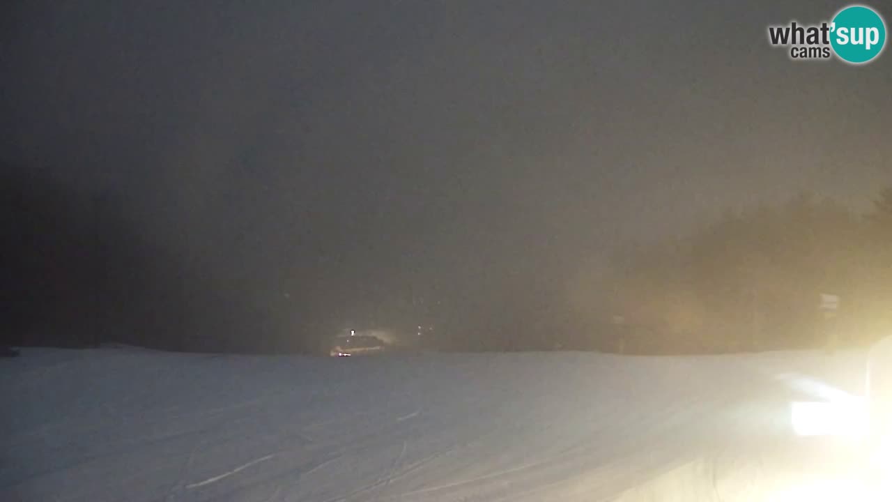 Web Camera Pohorje Trikotna Jasa | Poštela