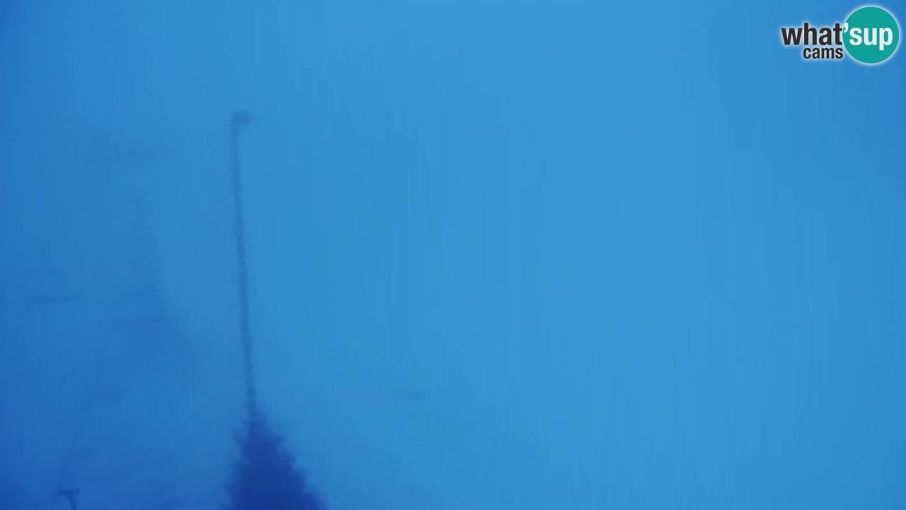 Webcam Pohorje Trikotna Jasa | Poštela