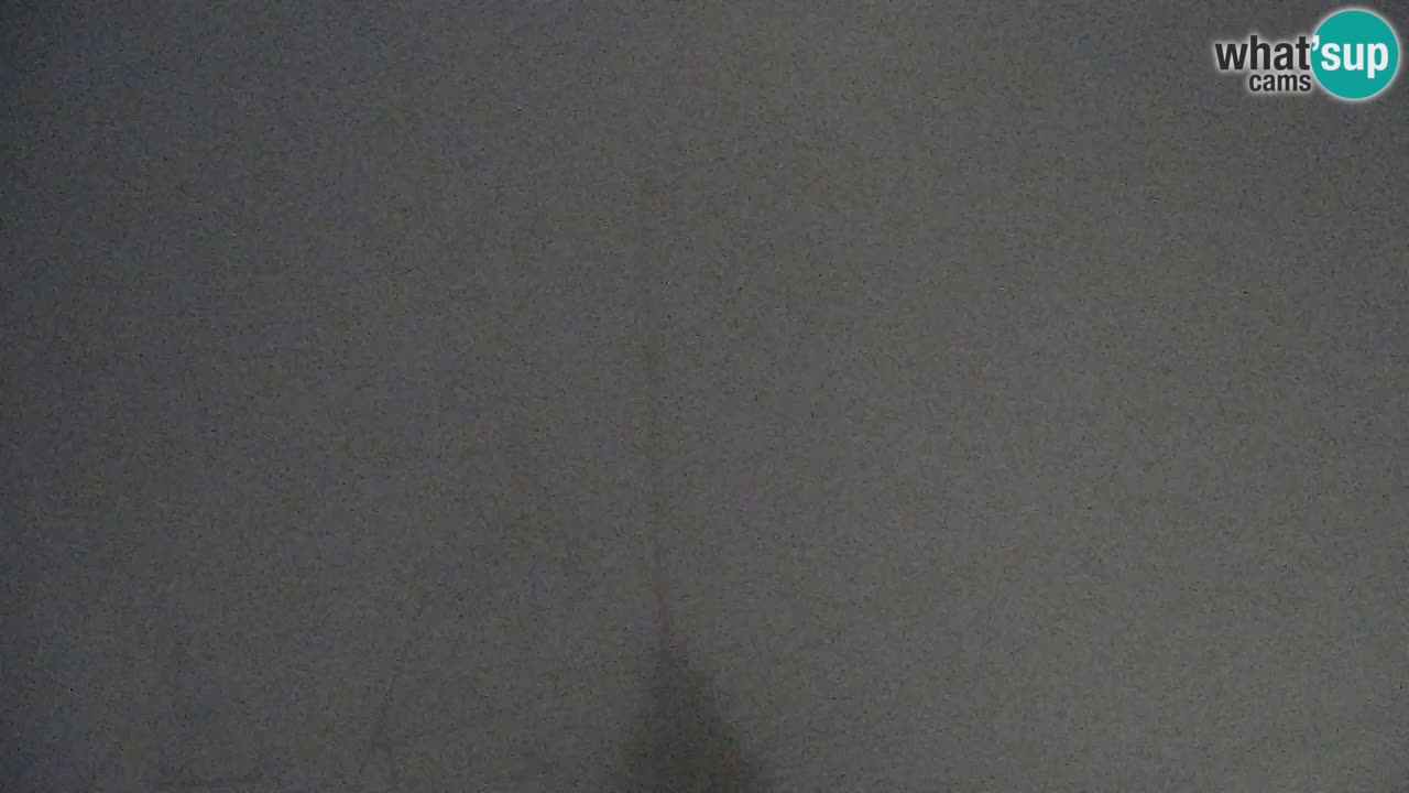 Webcam Pohorje Trikotna Jasa | Poštela