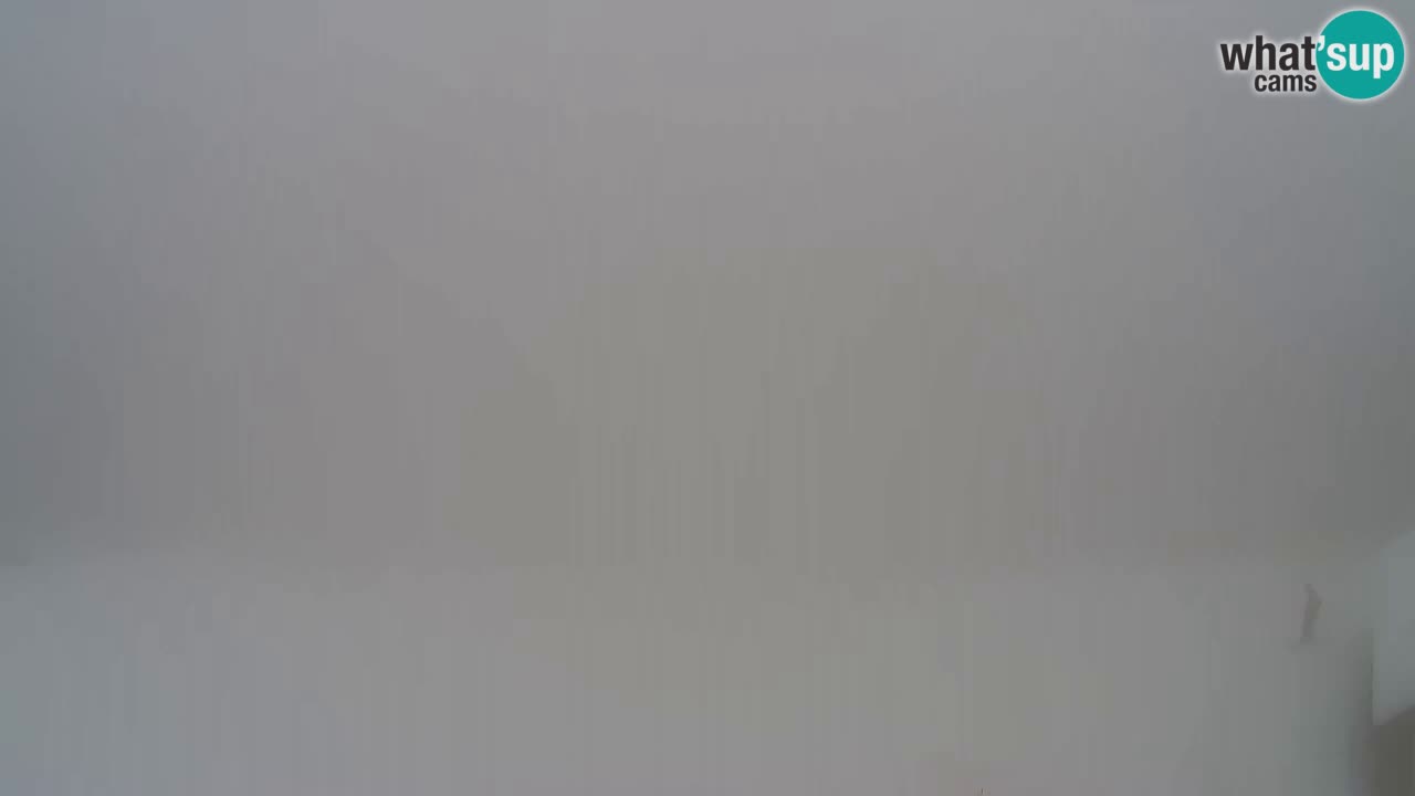 Webcam Pohorje Trikotna Jasa | Poštela