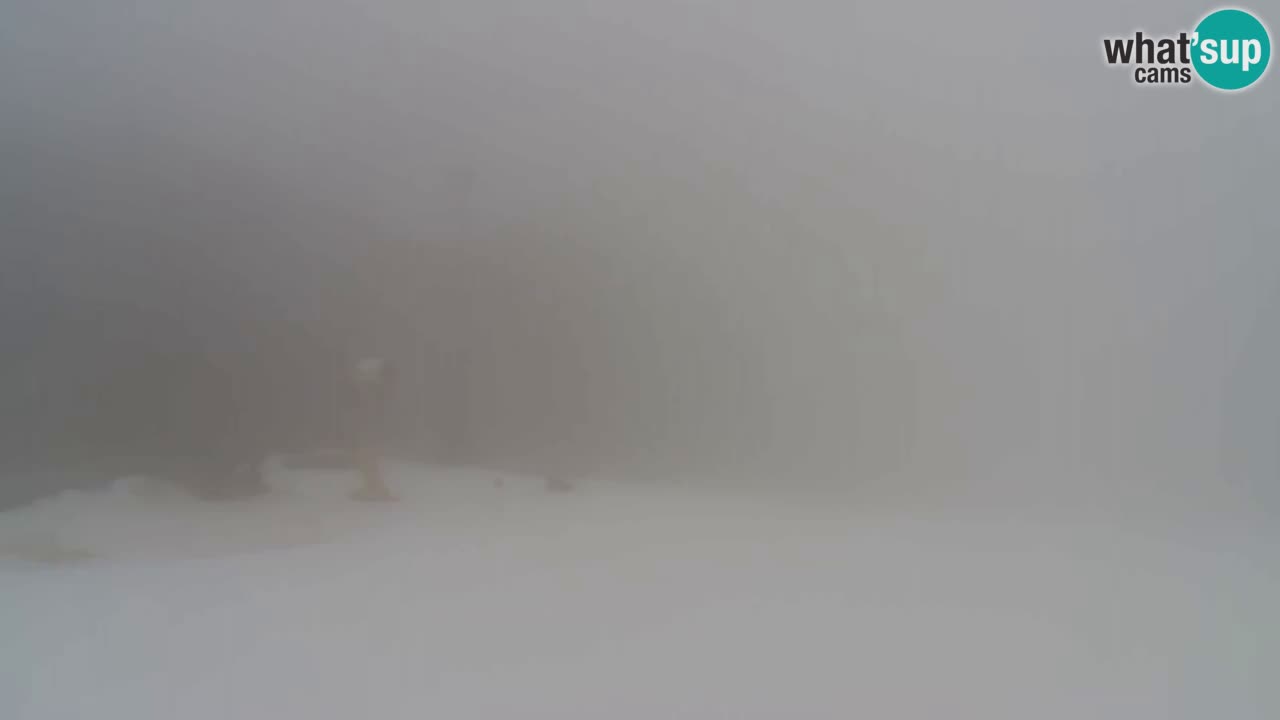 Webcam Pohorje Trikotna Jasa | Poštela