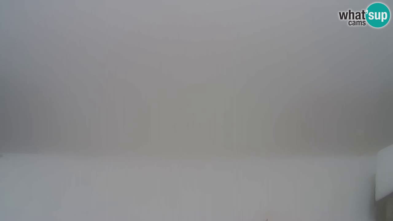 Webcam Pohorje Trikotna Jasa | Poštela