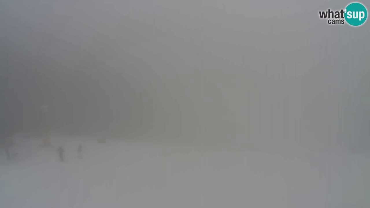 Webcam Pohorje Trikotna Jasa | Poštela