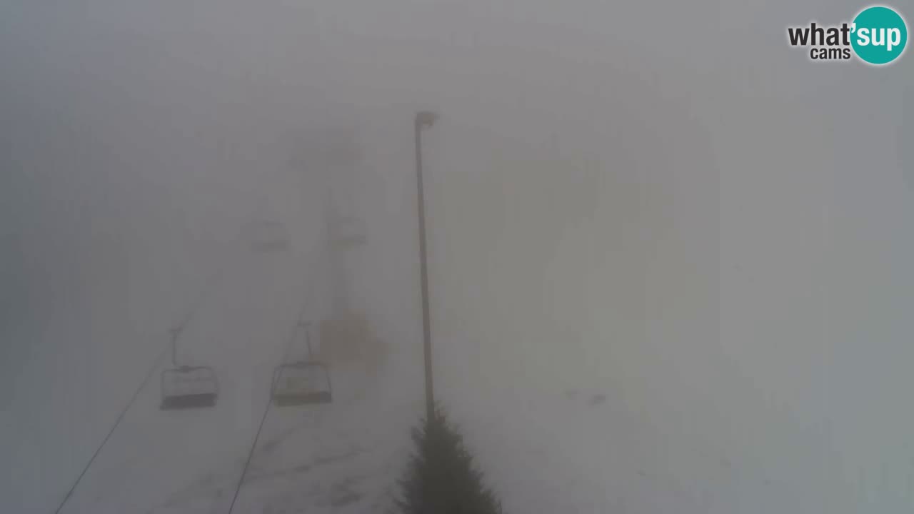 Web Camera Pohorje Trikotna Jasa | Poštela