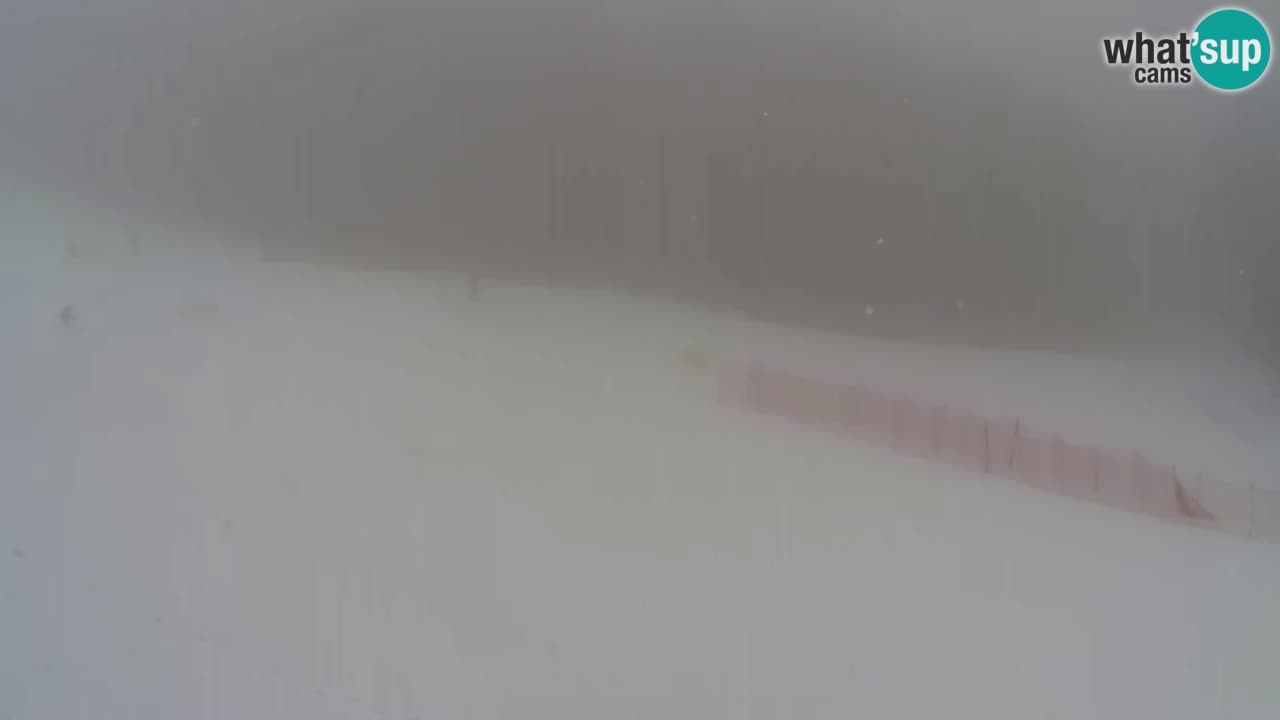 Webcam Pohorje Trikotna Jasa | Poštela