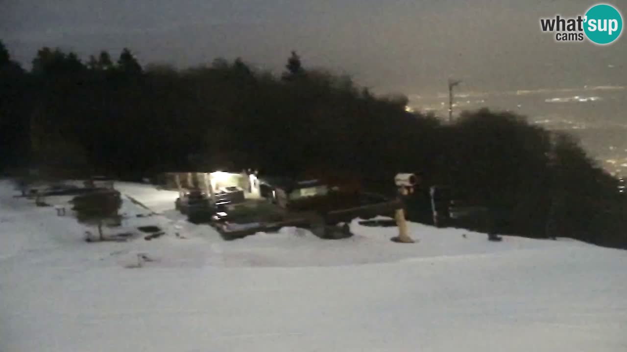 Webcam Pohorje Trikotna Jasa | Poštela