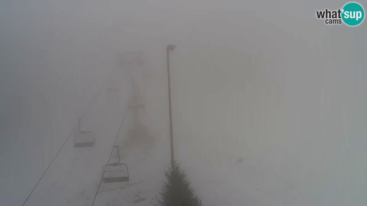 Webcam Pohorje Trikotna Jasa | Poštela