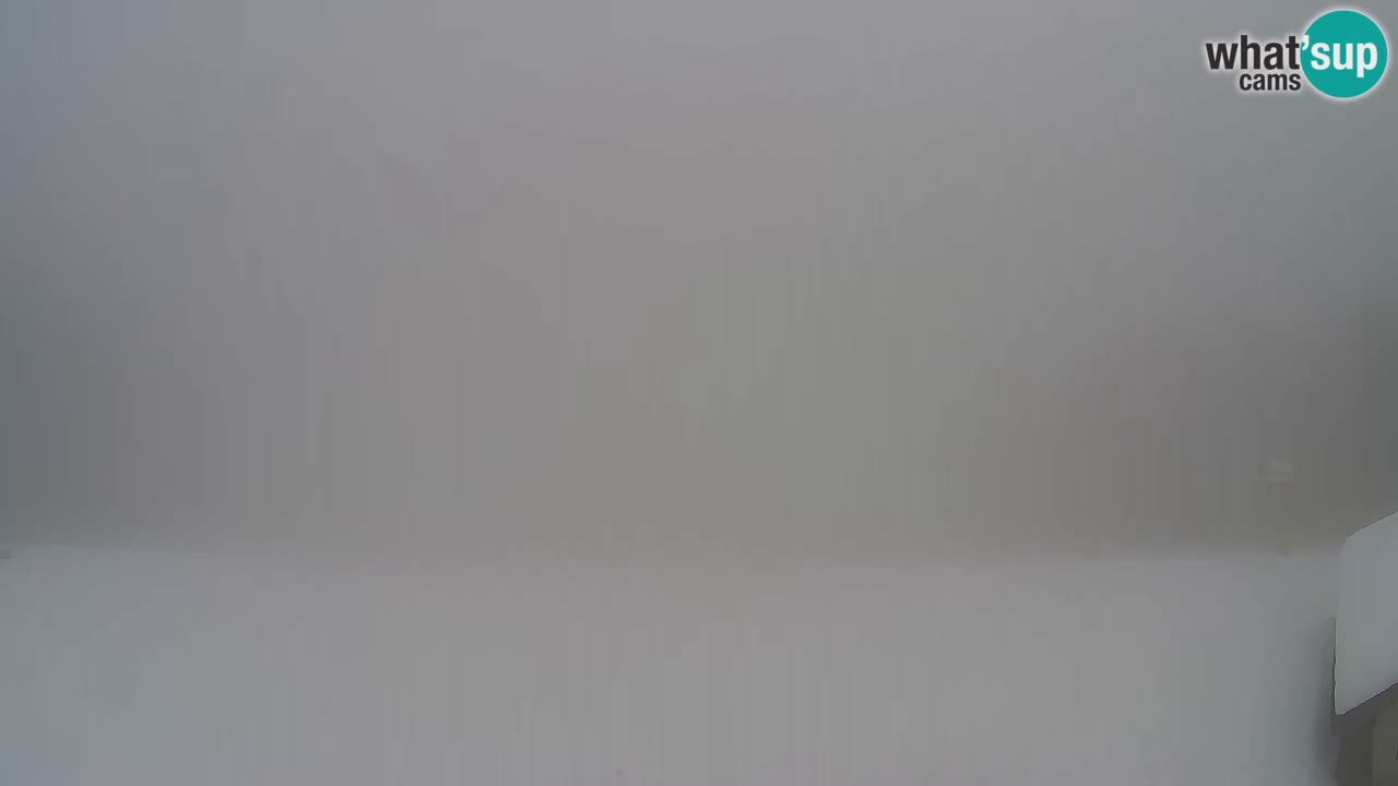 Webcam Pohorje Trikotna Jasa | Poštela