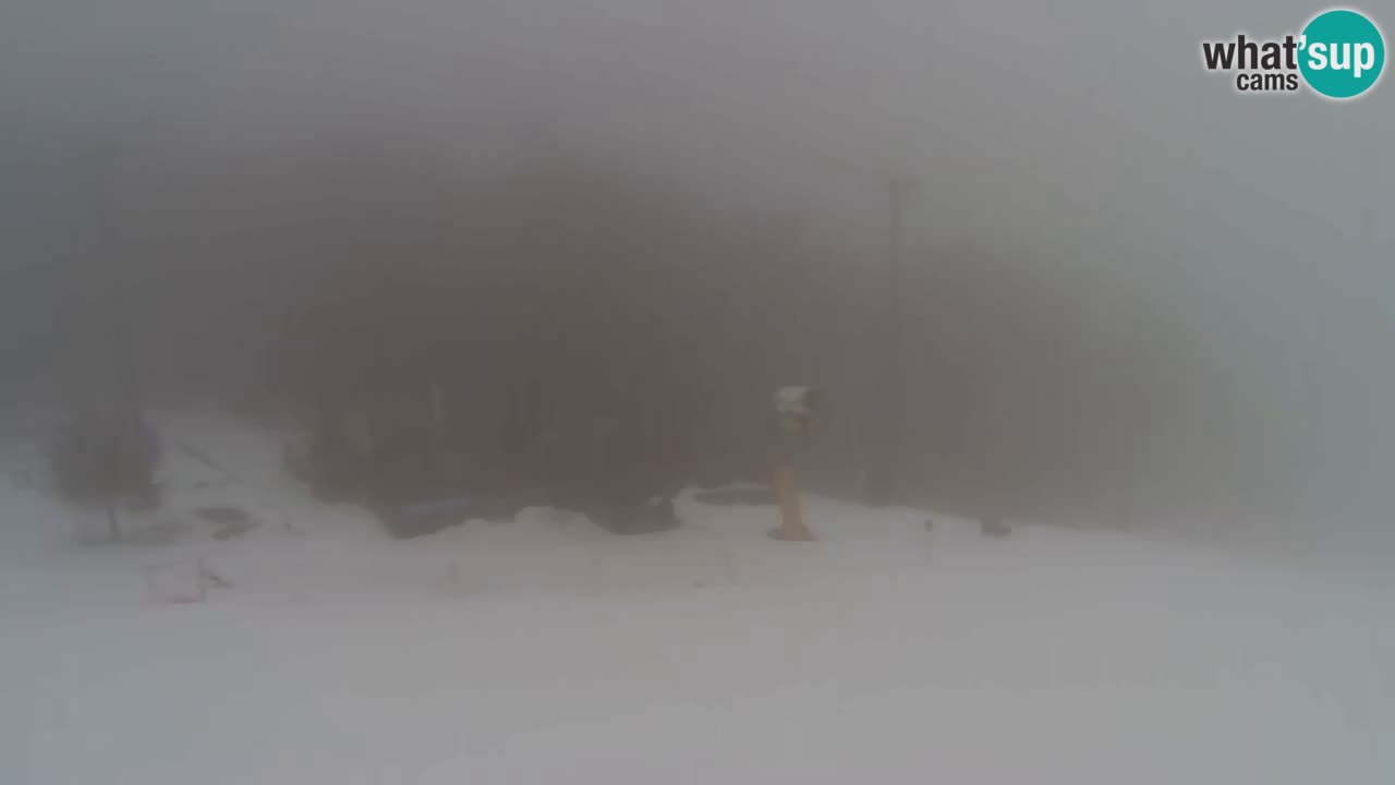 Webcam Pohorje Trikotna Jasa | Poštela