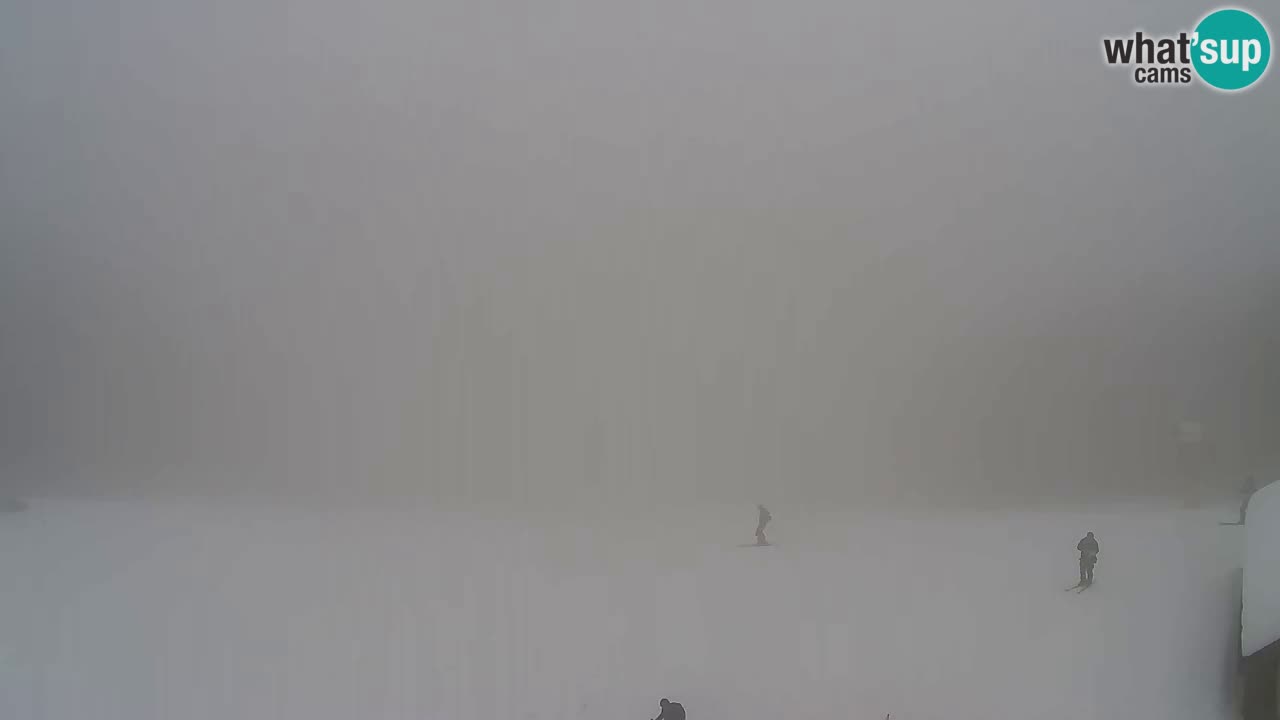 Webcam Pohorje Trikotna Jasa | Poštela