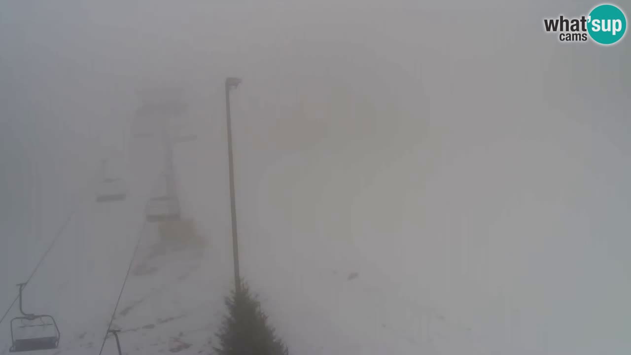 Webcam Pohorje Trikotna Jasa | Poštela