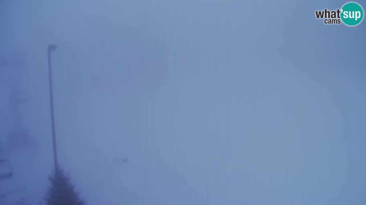 Webcam Pohorje Trikotna Jasa | Poštela