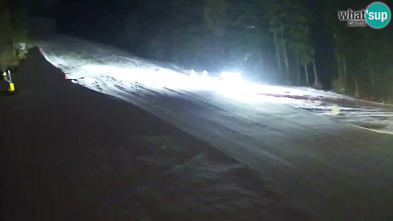 Webcam Pohorje Trikotna Jasa | Poštela