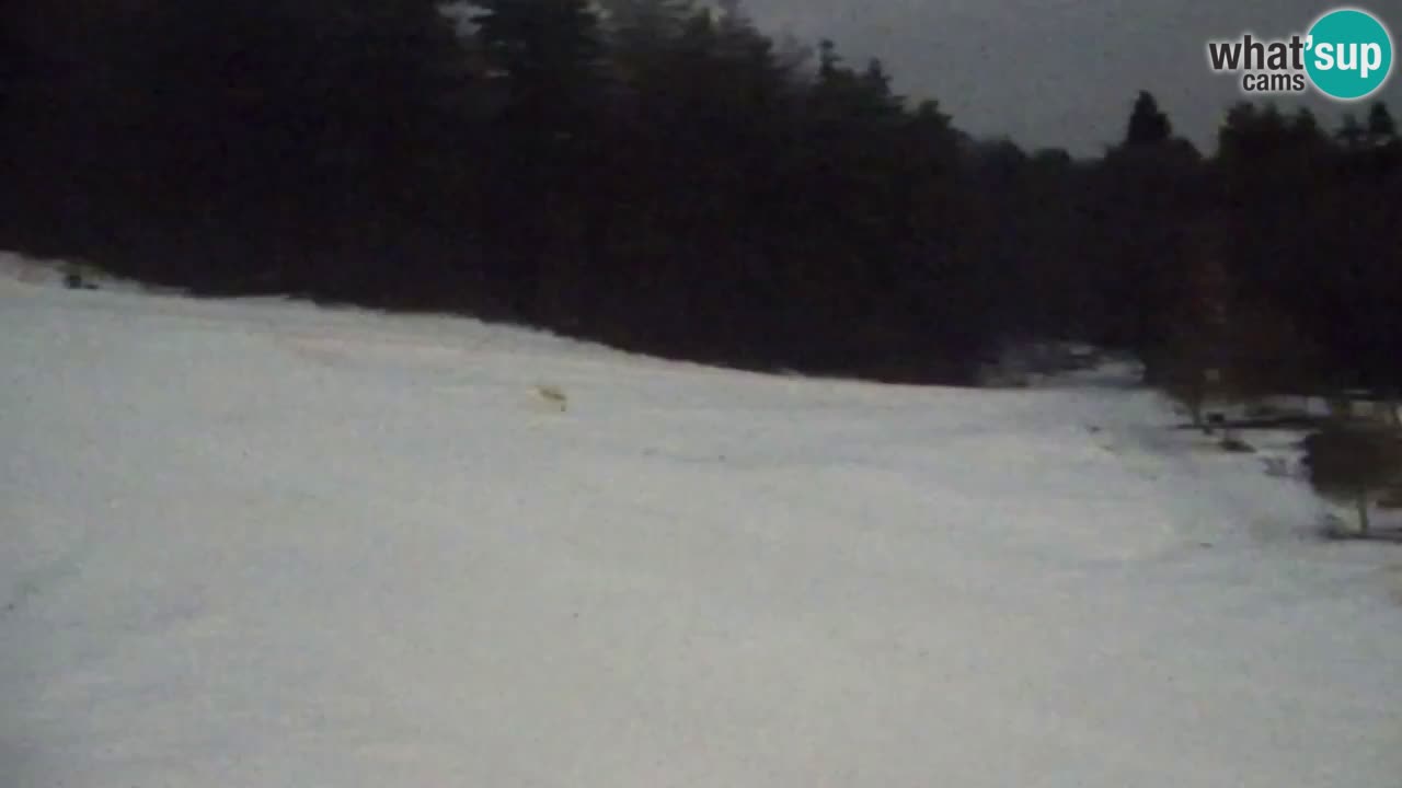 Webcam Pohorje Trikotna Jasa | Poštela