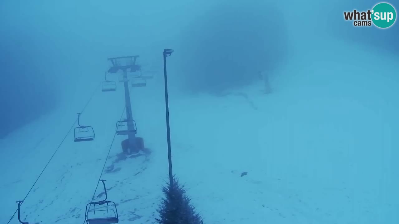 Webcam Pohorje Trikotna Jasa | Poštela