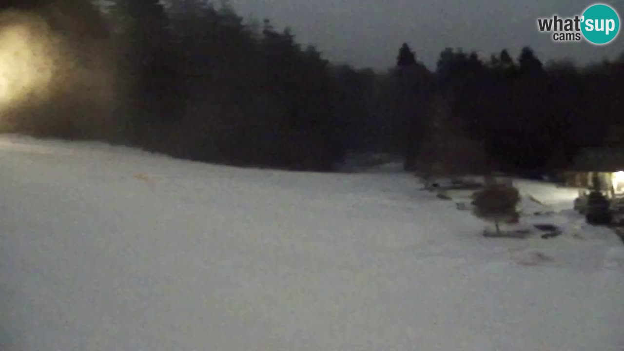 Webcam Pohorje Trikotna Jasa | Poštela