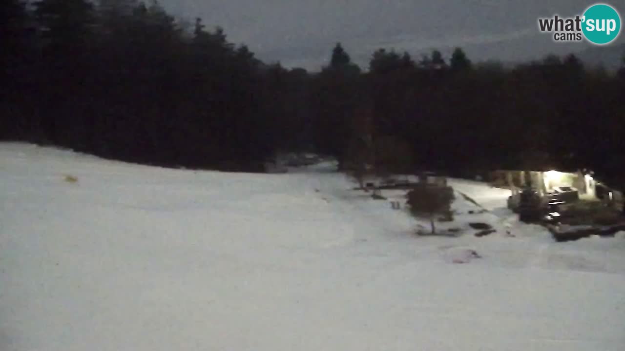 Webcam Pohorje Trikotna Jasa | Poštela