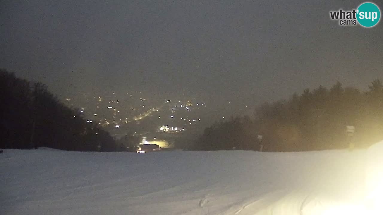 Web Camera Pohorje Trikotna Jasa | Poštela