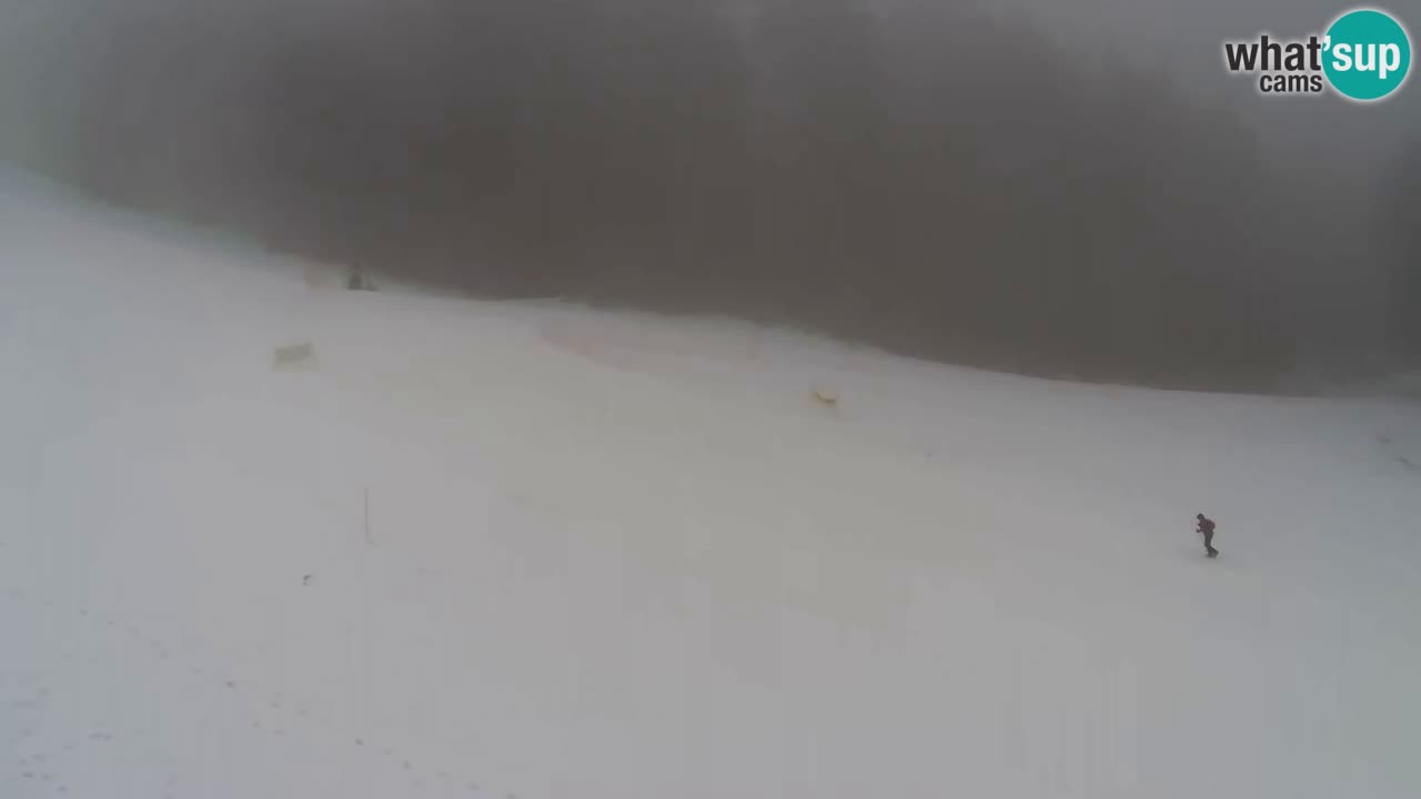 Webcam Pohorje Trikotna Jasa | Poštela