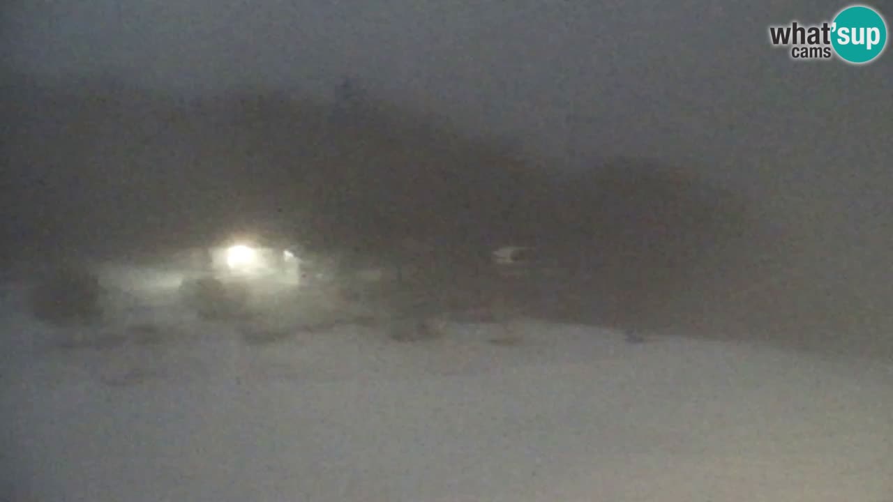 Webcam Pohorje Trikotna Jasa | Poštela