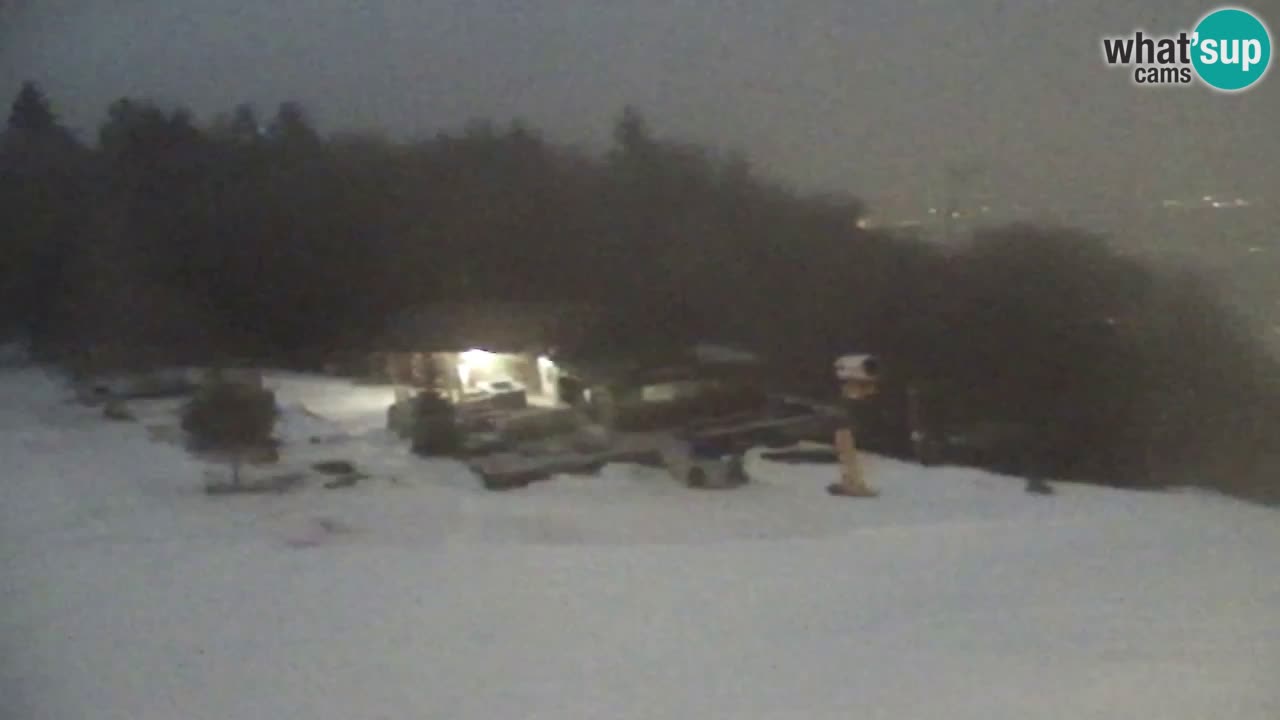 Webcam Pohorje Trikotna Jasa | Poštela