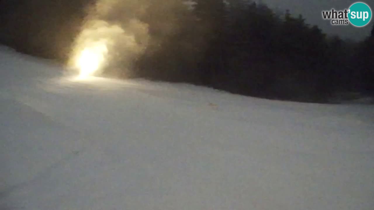 Web kamera Pohorje Trikotna Jasa | Poštela