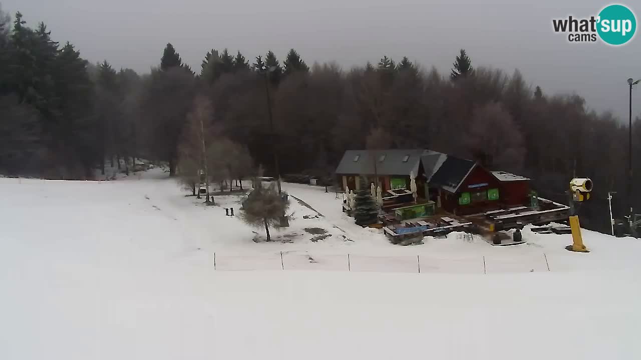 Webcam Pohorje Trikotna Jasa | Poštela