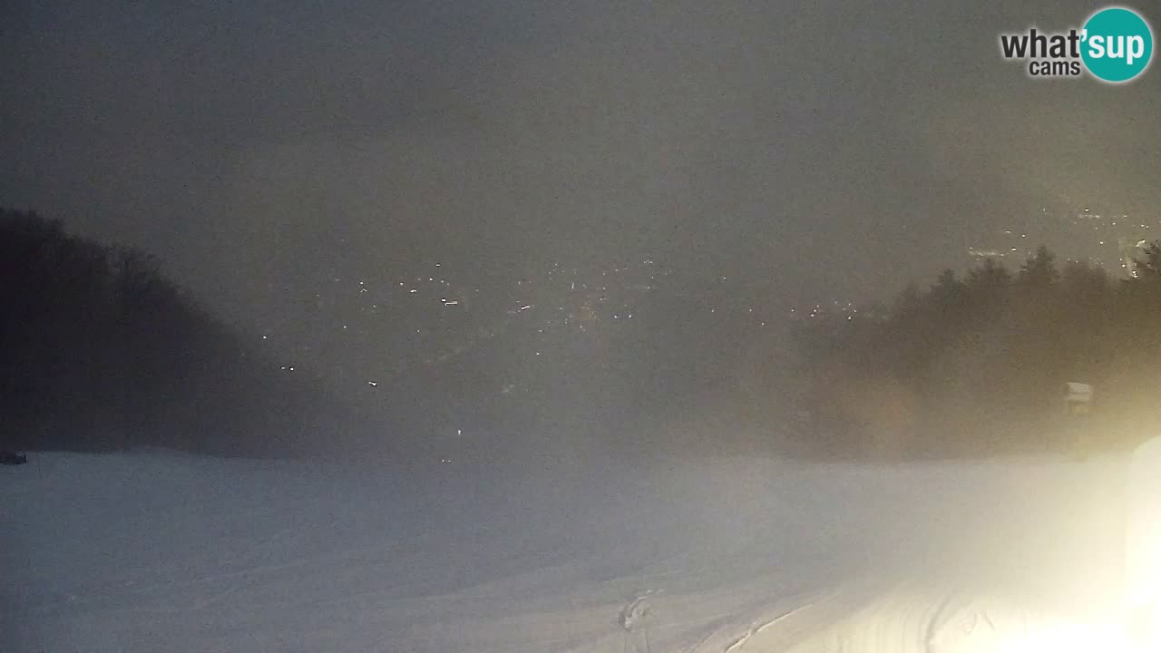 Webcam Pohorje Trikotna Jasa | Poštela