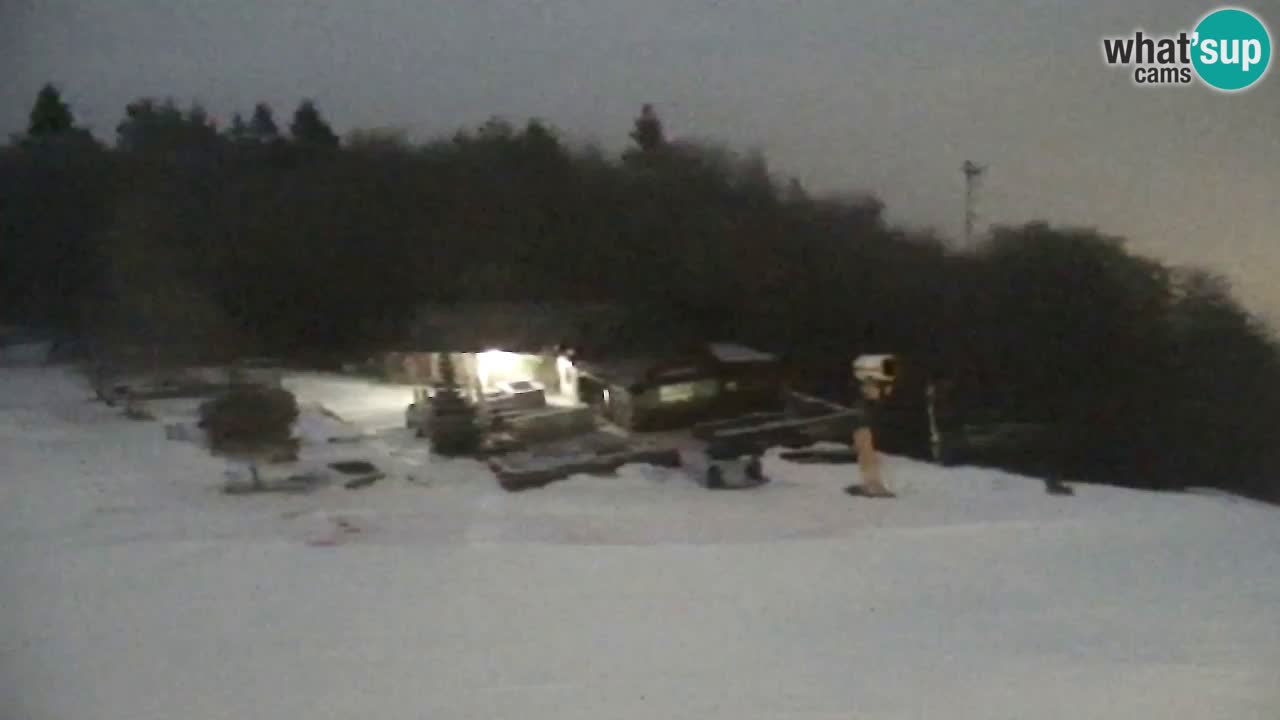 Webcam Pohorje Trikotna Jasa | Poštela