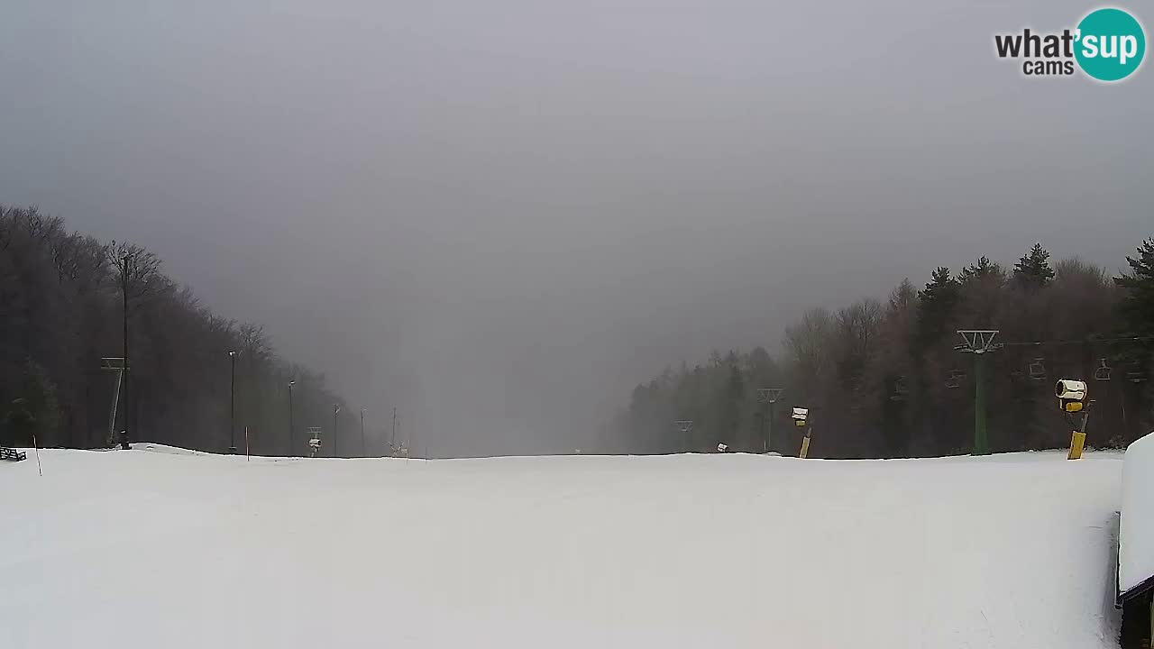 Spletna Kamera Pohorje Trikotna Jasa | Poštela
