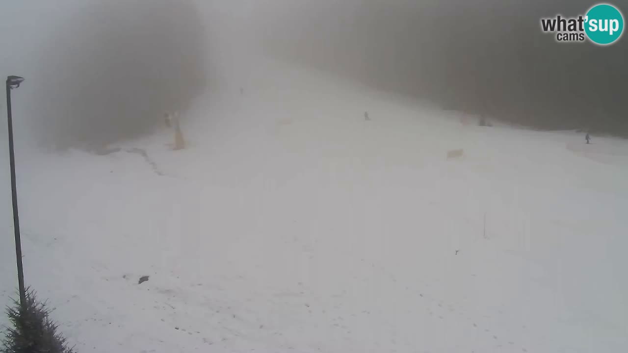 Web Camera Pohorje Trikotna Jasa | Poštela