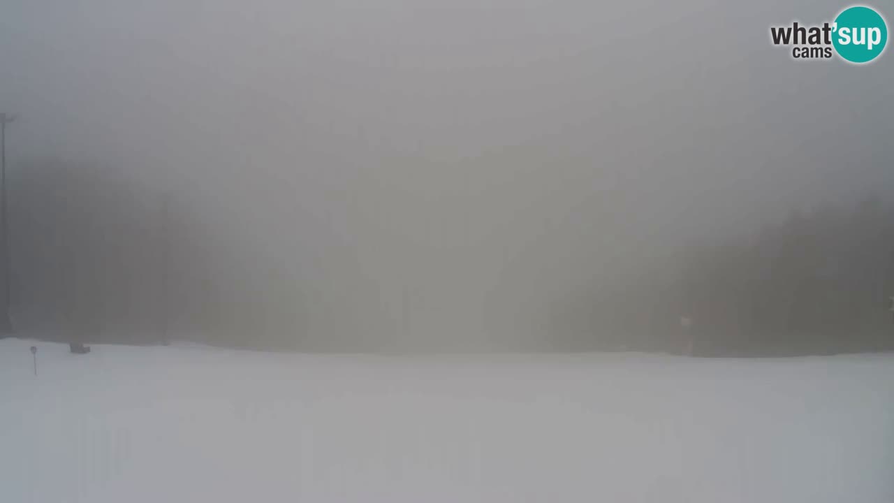 Webcam Pohorje Trikotna Jasa | Poštela