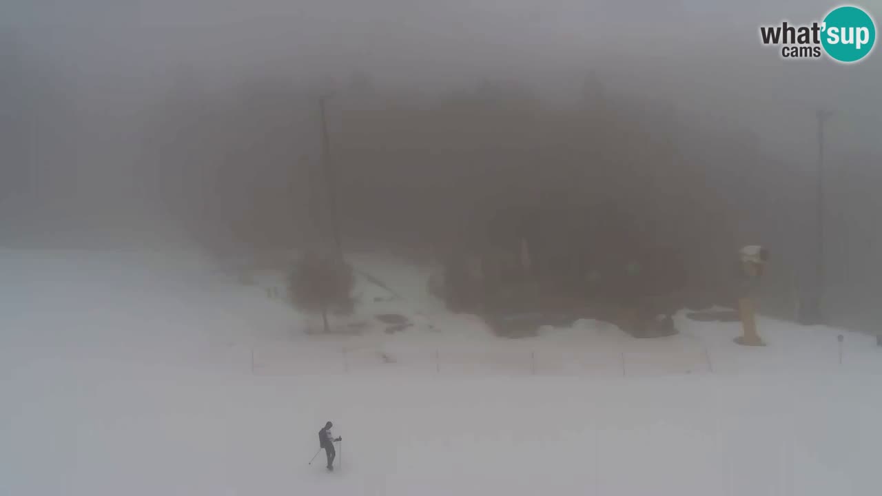 Webcam Pohorje Trikotna Jasa | Poštela