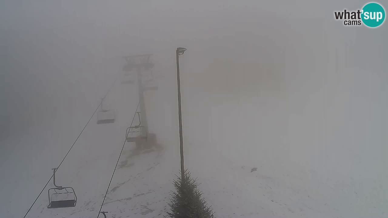 Webcam Pohorje Trikotna Jasa | Poštela