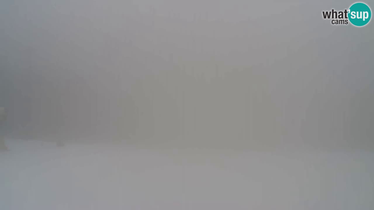 Spletna Kamera Pohorje Trikotna Jasa | Poštela