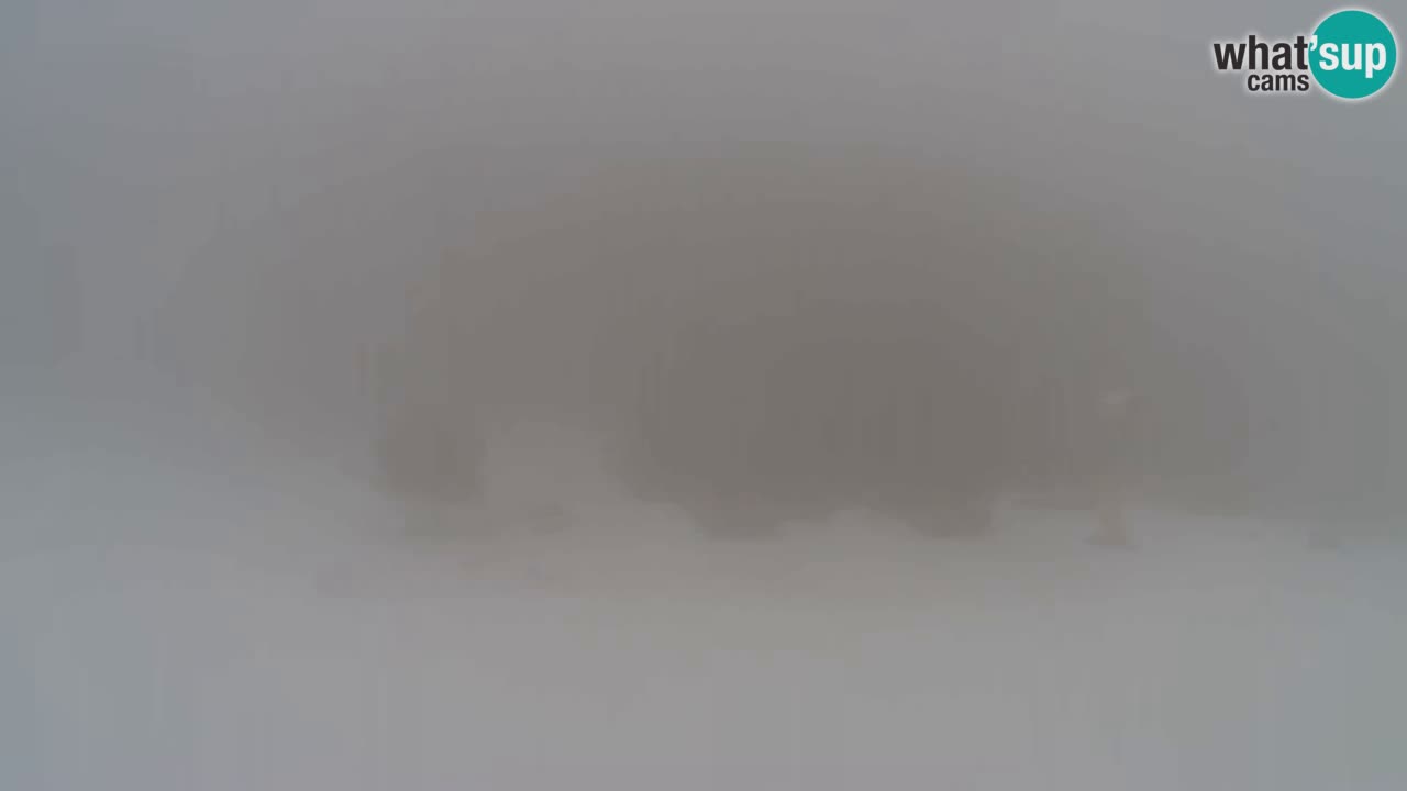 Webcam Pohorje Trikotna Jasa | Poštela