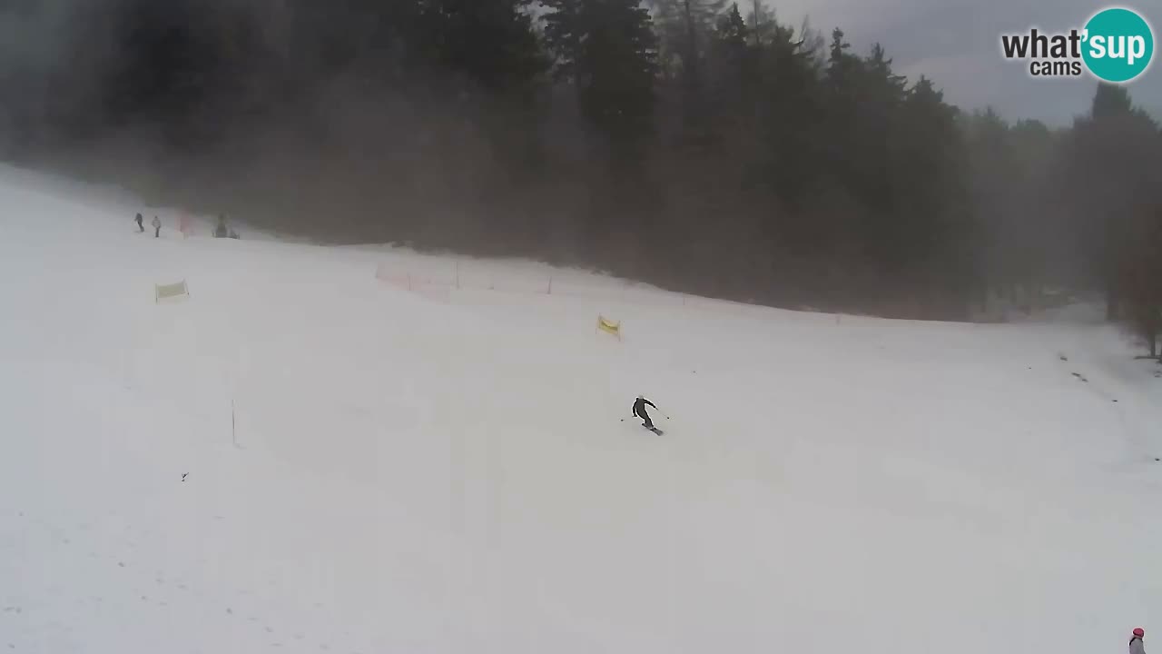 Webcam Pohorje Trikotna Jasa | Poštela