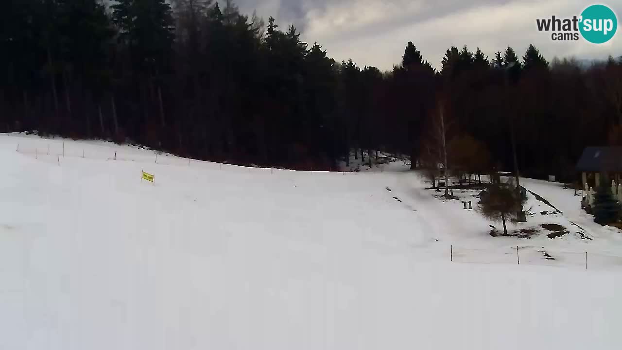 Webcam Pohorje Trikotna Jasa | Poštela