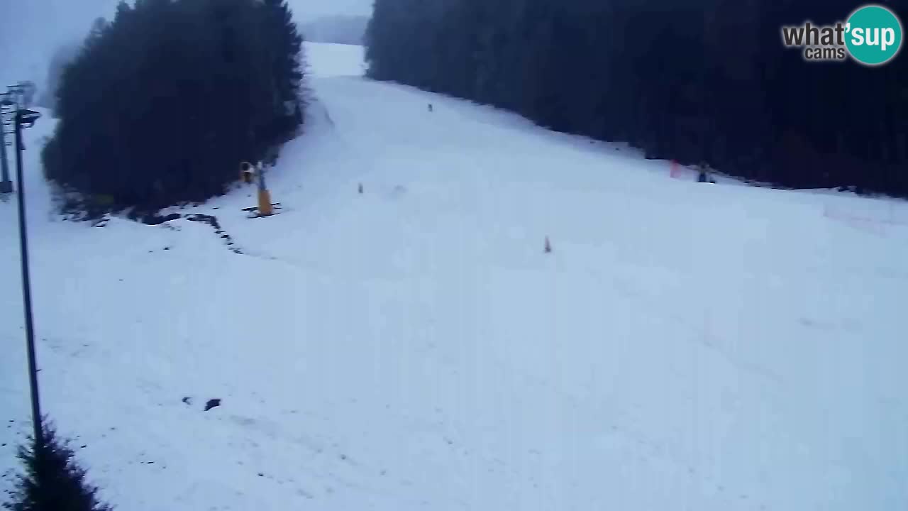 Webcam Pohorje Trikotna Jasa | Poštela